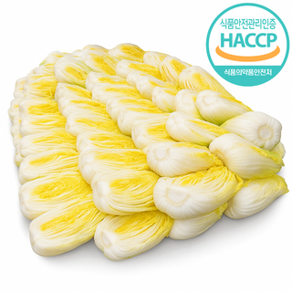 두메 강원도 영월 고랭지 절임배추 월 화 수 목 금 출고 HACCP인증 5키로 10키로 20키로, 20kg, 1개, 월화수목금