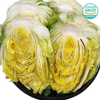 농가수제 튼실한 고랭지 절임배추, 1, 1개, 20kg