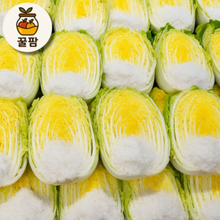 [꿀팜] 해남 유기농 무농약 김장 절임배추 친환경 절임 배추 국내산, 화~토 수령 가능 (일,월 지정 불가), 1박스, 20kg