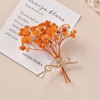 幹花墻面裝飾牆上掛件，高級感真花鬆果樹枝植物標本，背景牆墻飾貼墻, F-26