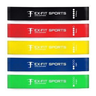 엑피트 라텍스 루프밴드 운동시설 대량납품등급, 5종세트, 1개