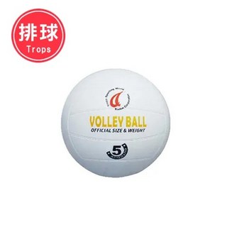成功 4035 一般排球 (5號) - 耐磨材質，飛行軌跡穩定，室內外適用, 1個