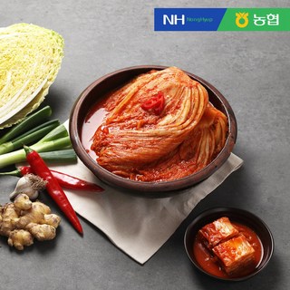 (농협) HACCP 인증 풍산김치 숙성김치 5kg, 1개