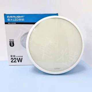 億光EVERLIGHT 星庭LED戶外照明吸頂燈 IP65防水防塵 全電壓, 白光