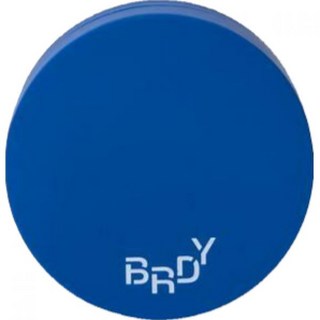 비레디 블루 세범 파우더 7g, 1개