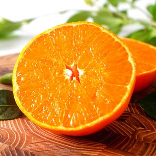 [선호도1위] 올해 첫 수확 제주 햇 감귤 노지조생 귤 중대과 10kg, 1박스