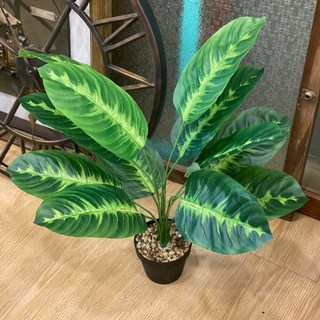 GXS拍照道具 龜背葉仿真植物假盆栽，室內裝飾綠植，免澆水仿真龜背芋盆栽, 12葉劍羽旅人蕉-高約65cm, 1個