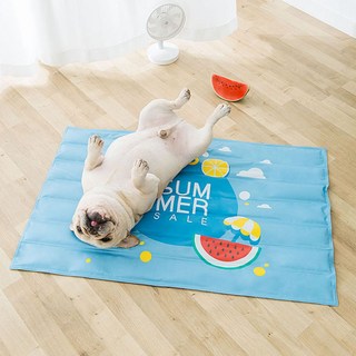 강아지 고양이 쿨매트 반려견 쿨링 패드 여름 방석, C타입, 1개