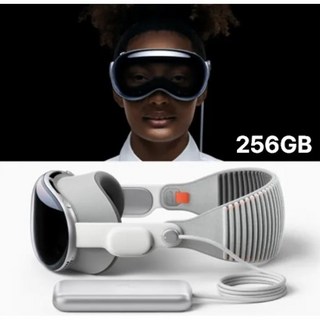 애플 비전 프로 256GB 모델 후면