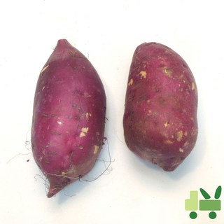 호박고구마 10Kg (왕/대/긴왕/긴대), 1세트