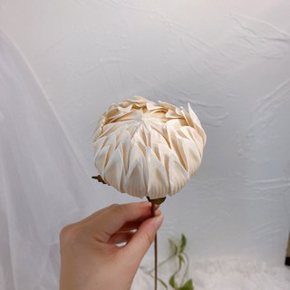 現貨 木牡丹 牡丹球 大朵主花 乾燥花 永生花 居家裝飾 花束材料 捧花 花藝 麥桿菊, 白色（一入）