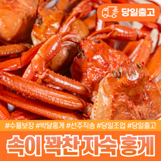 [다정한홍게] 선주직송 수율90%보장 박달홍게 품질보증, 1박스, 3kg (박달홍게 9~12미) 수율90%