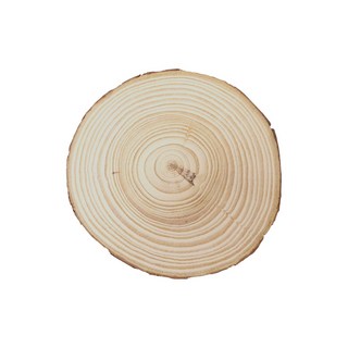 原木片杯墊 原木杯墊 木頭墊 拍攝道具 拍照木底座 隔熱墊 木杯墊 松木片 松木 木頭底座, 原木片 杯墊 (5~6CM), 1個