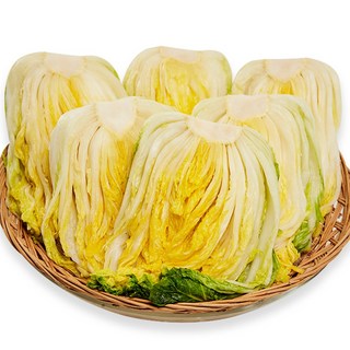 [평창꽃순이] 고랭지 절임배추 20kg, 1개