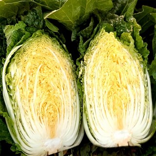 달냥가게 해남 절임배추 김장배추 절인배추, 12월 16일(화) 도착, 1박스, 10kg