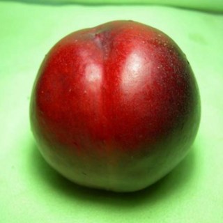 천도복숭아( 천홍 신비 ) [ 접목 1년 ], 천도복숭아(천홍), 1개