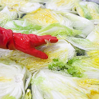 해남 절임배추 5kg 10kg 국산 고랭지 김장김치 절인배추, 1박스, 도착희망일을 배송메모에 입력해주세요, 고랭지 절임배추