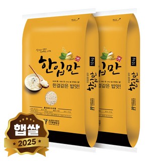 현대농산 국산 한입만 찹쌀 10kg, 2개