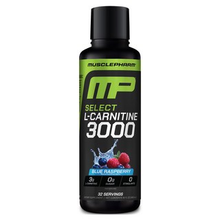 머슬팜 MP 셀렉트 L-카르니틴 3000 블루 라즈베리, 1개, 480ml