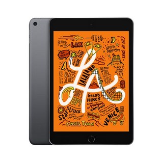 아이패드 미니5세대 7.9인치 64G WIFI iPad mini 5, 미니5 그레이 7.9인치 64G WIfi