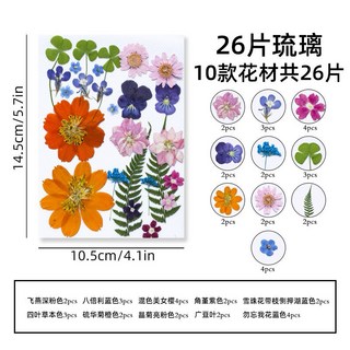 中花包組合 真花壓花 永生花 森林系少女寫真 壁畫 DIY水晶滴膠 乾燥花 植物標本, 10.26片琉璃