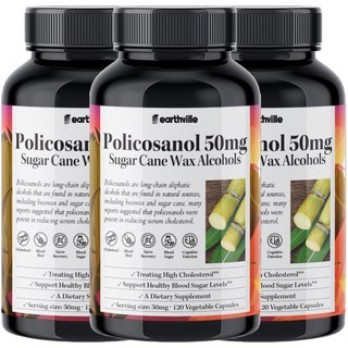 어스빌 폴리코사놀 50mg 사탕수수왁스알코올 옥타코사놀 10 20 베지캡슐, 120정, 3개