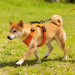 대형견 방폭 가슴줄 반사 출퇴근 리드줄, 오렌지