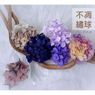 買五送1 永生繡球花 不凋花 乾燥花 材料包 安娜繡球 永生花 配花 花材, 紫藤粉,一克袋裝