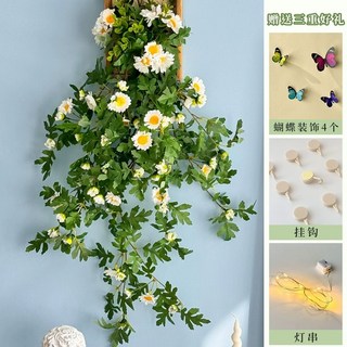 다꾸 인스타 인스타 스토리 몰래보기 다꾸스티커 공룡스티커 스티커북 인스타그램 미즈노인스파이, K. 유칼립투스 벽 교수형 2 조각 무료 고리