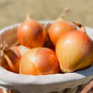 2023년산 국내산 양파 3 5 10kg, 3kg 대, 1개