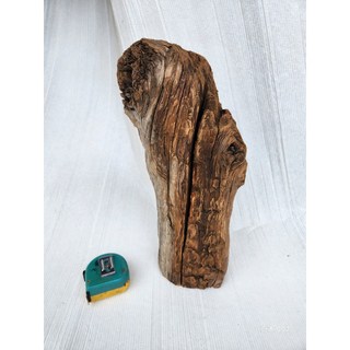 【十木工坊】奇木2.台灣檜木紅檜創作材, 1個