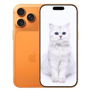 i폰 17 프로 맥스 새상품 미개봉, 256GB, CO 코스믹 오렌지 색상