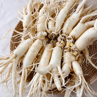 난발삼 300g+300g, [원플러스원] 무료세척 난발삼 6~8뿌리, 8개