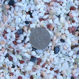 오색사 어항 수조 바닥재 3~5mm 2kg, 혼합색상, 1개