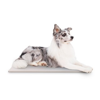 포세린 통 세라믹 쿨매트 애견 매트 강아지 고양이 냉감패드 대리석, 화이트, 1개