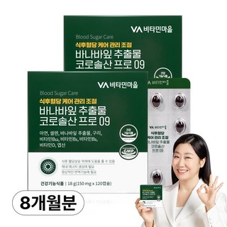 비타민마을 식후 혈당관리 바나바잎 추출물 코로솔산 프로 09, 120정, 2개