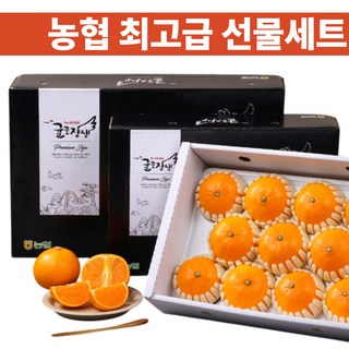 [초특가] 천혜향 농협 프리미엄 설선물세트, 1박스, 3kg