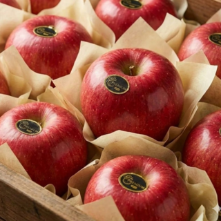 [과일선물세트] VVIP전용 명품 사과 설선물세트, 1박스, 사과선물세트_3kg (9과 내외)