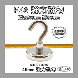 凱比歐 釹鐵硼 強磁稀土磁 掛勾 磁勾 不鏽鋼掛環 強力磁鐵 磁勾 打撈磁鐵 冰箱夾 冰箱貼 吊環 打撈, A0610 H46強力磁勾（2入）