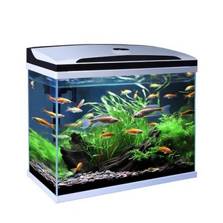 스마트 무환수 수족관 온도조절 관상어 어항 가정용 자동 여과, 1개, 상세페이지 참고