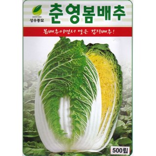 영농사 춘영 봄 배추 씨앗 500립 봄배추씨, 춘영봄배추씨앗, 1개