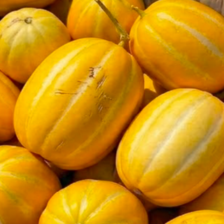 [대폭할인]첫수확 산지직송 고당도 성주 참외, 가정용 혼합, 1박스, 10kg