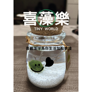 喜藻樂迷你生態瓶 Marimo藻球 療癒系桌面擺飾，輕鬆享受綠意，增添生活樂趣, 1個