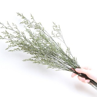 화연양화 프리저브드플라워 미스티블루 6가지색 드라이플라워 시들지않는생화, 01 그린