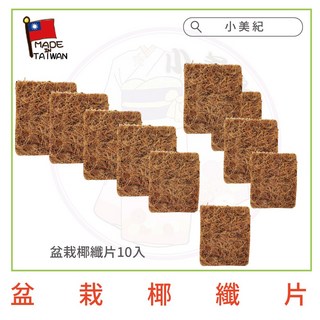 【小美紀】花牆單掛盆75H(園藝資材) 防風盆 花盆 花架 花器 盆栽 園藝造景 掛盆 園藝植作 壁盆 植生牆, 黃褐色, 10個