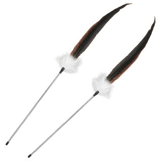 펫츠몬 프리미엄 롱스냅 깃털 낚시대 고양이 장난감, 혼합색상, 2개