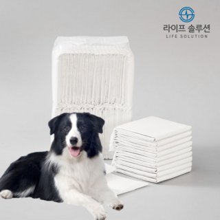 라이프솔루션 애완동물 고흡수 강아지 배변패드 중형 100매입 반려동물 무향 45 x 60cm, 1개, 100개입