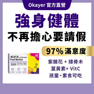 Okayer 感舒芙 草本組合 Feel Better 紫錐花接骨木薑黃粉劑 15包 提升防護力 孩童素食適用, 1個