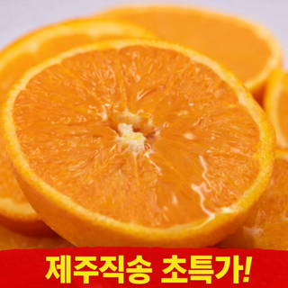 [제주산지직송] 윈터프린스 달콤쫀득 청희오렌지 환타맛 감귤, 1박스, 2kg