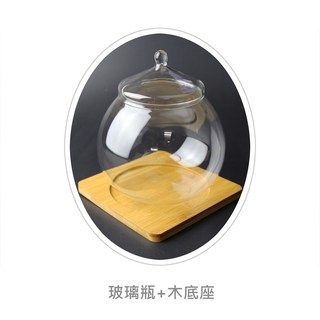 贈送底座微景觀生態瓶苔蘚養殖植物養殖花瓶桌上盆栽微景觀擺設玻璃瓶多肉植物, 1個, Clear